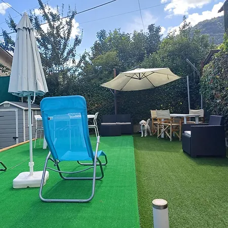 Regina 博尔索-德尔格拉帕